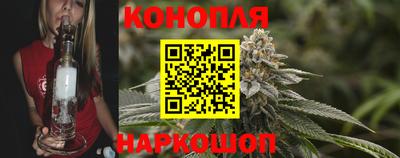 сатива Нальчик