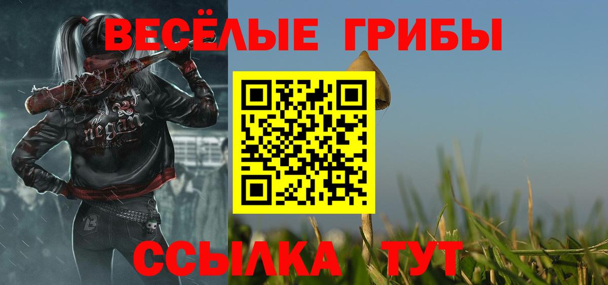 Галлюциногенные грибы ЛСД Анжеро-Судженск
